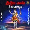 About Srisailavaasa Srimallikarjuna Song