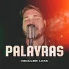 About Palavras Song