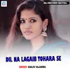 About DIL NA LAGAIB TOHARA SE Song