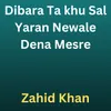 About Dibara Ta khu Sal Yaran Newale Dena Mesre Song