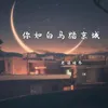 About 你如白马踏京城 Song