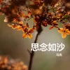 About 思念如沙 Song