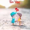 About Teri Vibe Song