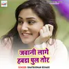 About Javani Lage Habda Pul Tor Song