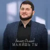 About Манишь ты Song