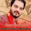 About Dumra Gharor Ma Kawa Song