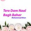 About Tere Dam Naal Bagh Bahar Song