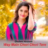 About Way Main Chori Chori Tere Song