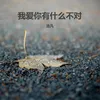 About 我爱你有什么不对 Song