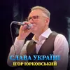 About Слава Україні Song