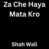 About Za Che Haya Mata Kro Song