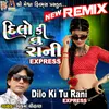 About Dilo Ki Tu Rani Express Song