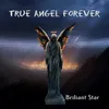 About True Angel Forever Song