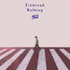 About Crossroad Walking Song