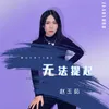 About 无法提起 Song