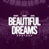 About Beautiful Dreams Song