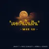 About เจอกันในฝัน Song