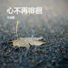 About 心不再徘徊 Song