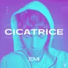 About CICATRICE Song