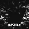 Jungle