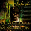 About Peacefull Revolution Song