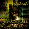 Peacefull Revolution