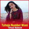 About Tuhnjo Number Wani Song