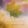 About Хъипи пешер Song