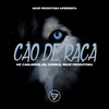 About Cão de Raça Song