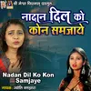 About Nadan Dil Ko Kon Samjaye Song