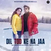 About Dil Tod Ke Na Jaa Song