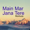 About Main Mar Jana Tere Song
