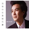 About 我等你在春暖花开 Song