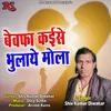 About Bewafa Kaise Bhulaye Mola Song