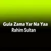 About Gula Zama Yar Na Yaa Song