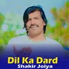 About Dil Ka Dard Song