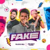 About Fake Song