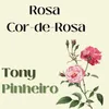 Rosa Cor-De-Rosa