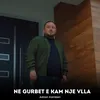 Ne gurbet e kam nje vlla