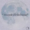 Moonlit White Noise, Pt. 1