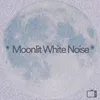 Moonlit White Noise, Pt. 55