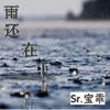 雨还在下