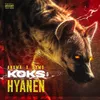 About Koks & Hyänen Song