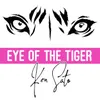 About Eye of the Tiger Song