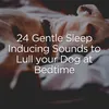 Ultimate Calm Meditative Music for your Dog, Pt. 2