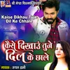 About Kaise Dikhau Tuje Dil Ke Chhale Song