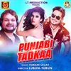 About Punjabi Tadkaa Song