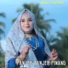 About Panjek Panjek Pinang Song