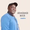 About Ndikaeka Boza Song