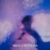 About High Emotions Song
